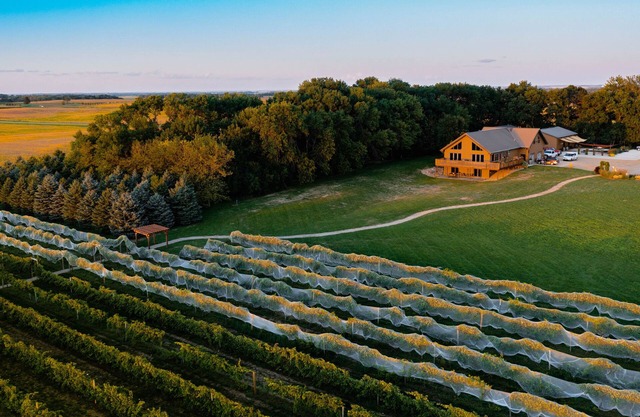 4 bedroom vineyard home near Brookings, SD