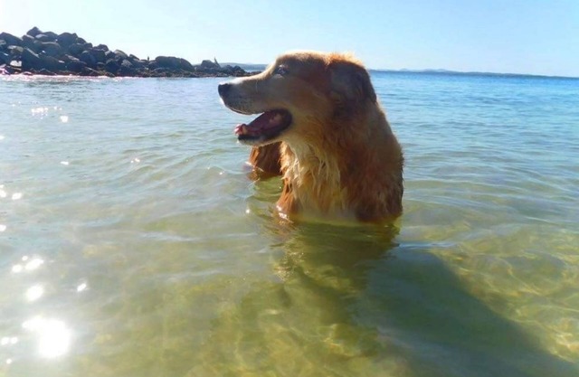 4 Gilchrist Rd - pet friendly, air con, Wi-Fi