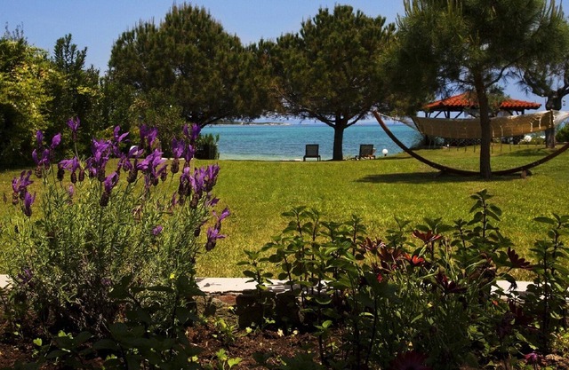 4Elies apartments Villa right by the sea, where the wave breaks of pine wooded V