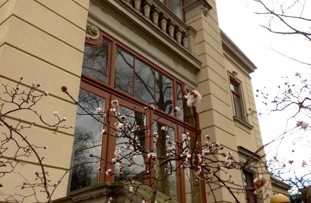 5-room duplex apartment in a historic villa in Dresden Blasewitz