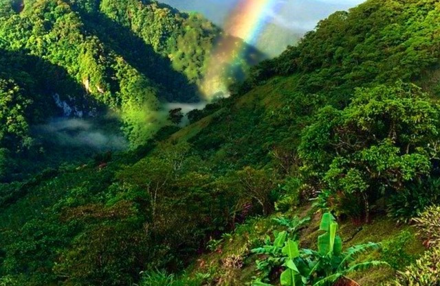 5 Star Charming Private Mountain Bungalow w/Volcano View Perfect Climate Utopia