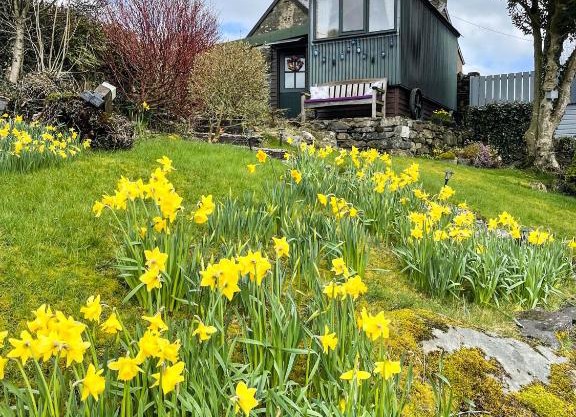 5 Star Shepherds Hut in Betws y Coed with Mountain View