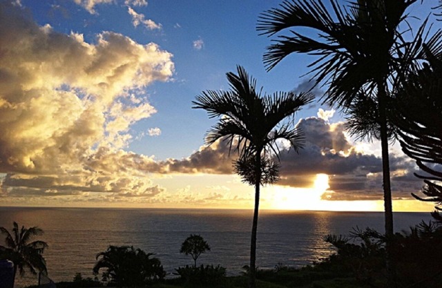 6.5 acres Oceanfront Estate with180-degree views of the deep blue Pacific Ocean!