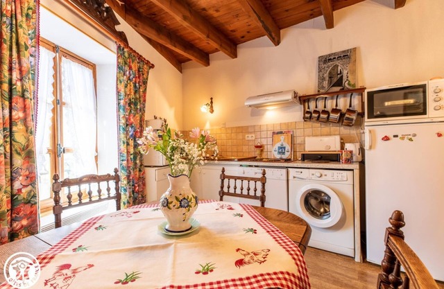 63g100796 - Saurier - Gîte