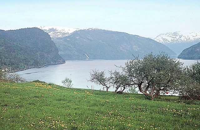 8 person holiday home in NORDFJORDEID