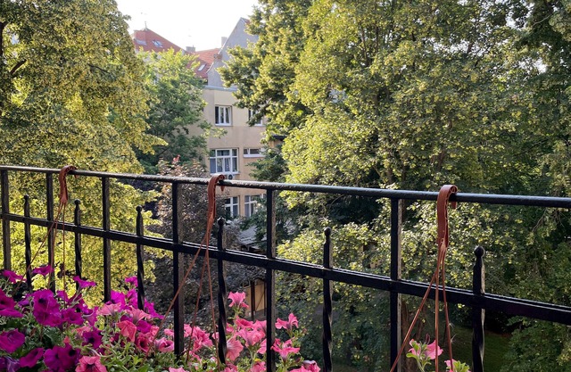 A 3 Bedroom apartment in center of Zagreb