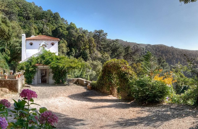 A 3 Storey Country House Nestled in 10 Hectares of Woodland