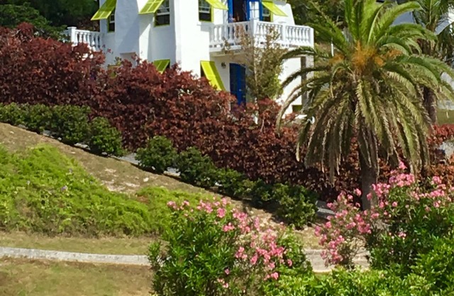 A Charming Bermuda Gem 🌸