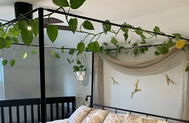 A Cozy Place to Land