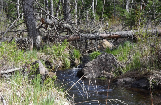 A Family Owned & Family Oriented Cabin Retreat