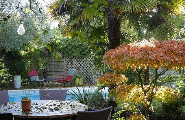 a garden in town - TOULOUSE house near metro