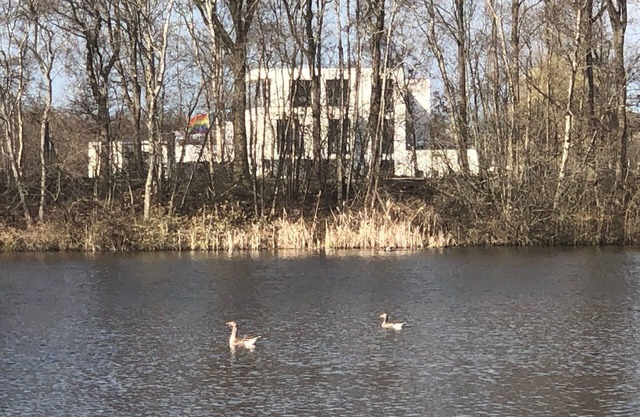 A great, huge house on the water with 9 bedrooms.
