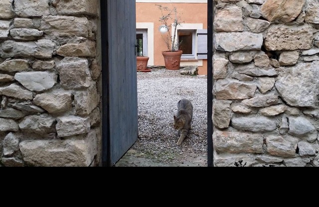 A House In Provence
