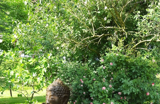 A little corner of paradise 1