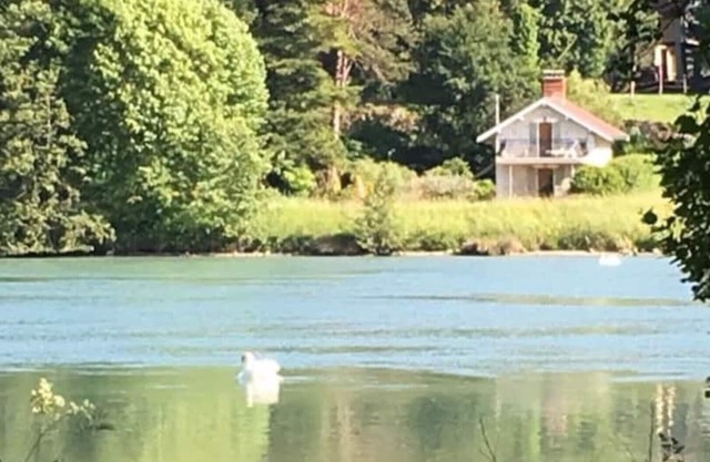 A little paradise on the Rhone