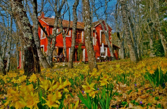 A magical house in the heart of Guadarrama Park