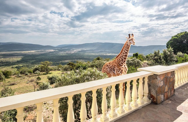 A paradise for senses, a vacation for your soul
