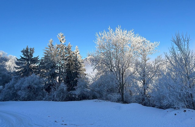 A peaceful, cosy break for two in the mountains