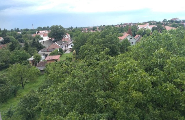 A room with a view!