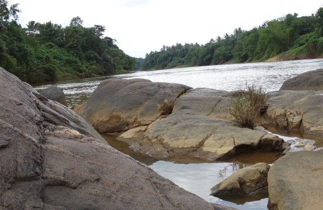 A serene peaceful environment bordering A River.