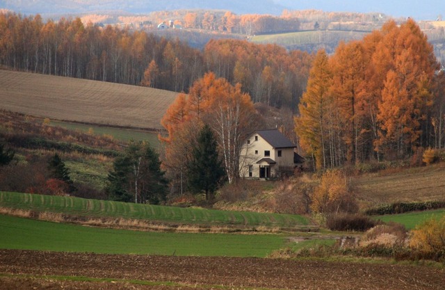 A small guesthouse in the hills of Biei - Hill/Kamikawa-gun Hokkaidō
