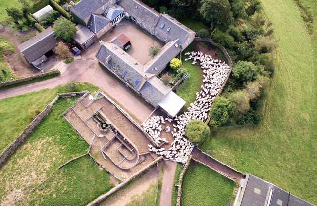 A stylish country cottage near Edinburgh. Wood-fired sauna. Pet friendly.