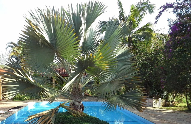 ACCOMMODATES FAMILIES WITH CHILDREN AND ANIMALS