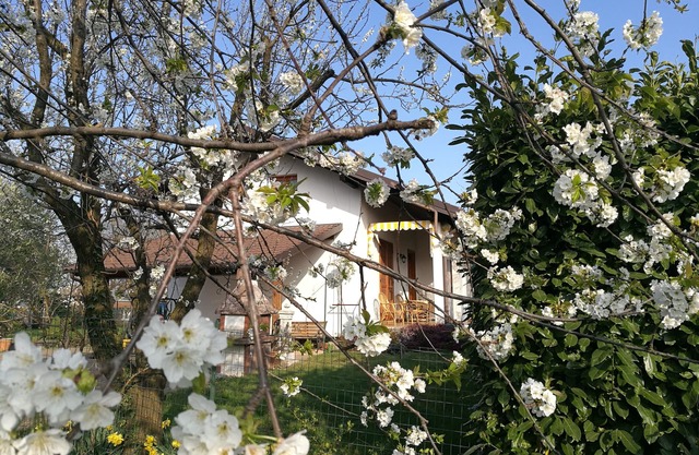 Accommodation in delightful cottage in Giaveno CIR00111500011 CIN IT001115C286W593TP