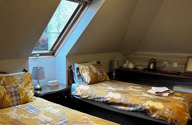 Acer Lodge Guest House
