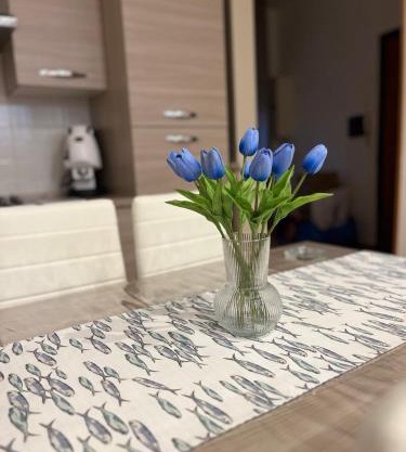 Acquamarina home