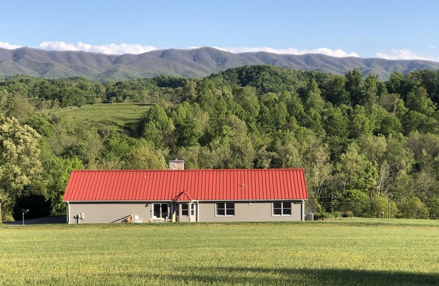 Adjacent to South Holston River. Pet/smoke free! Great fishing! Close to BMS!