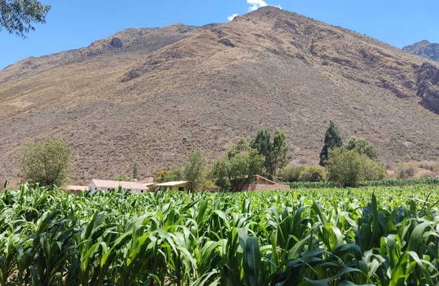 Adobe house close to all the attractions of the Sacred Valley