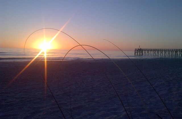 Adorable One Bedroom One Bathroom With Easy Access To The Beach!
