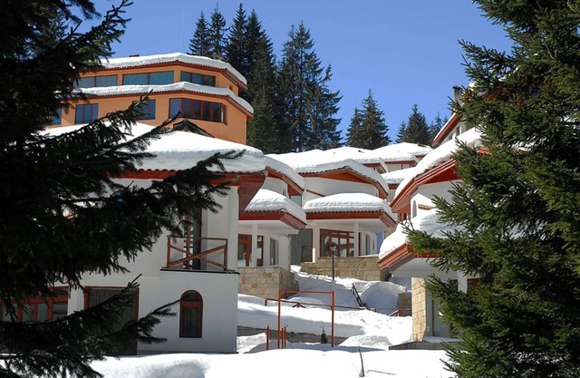 Affordable Ski Chalet holiday. Quiet Village in a wood near Pamporovo