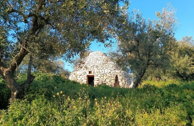 Agricampeggio wishne