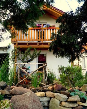 Agroturystyka u Willima
