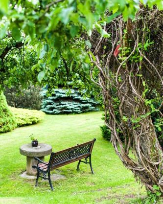 Agroturystyka Wzgórze Magnolii