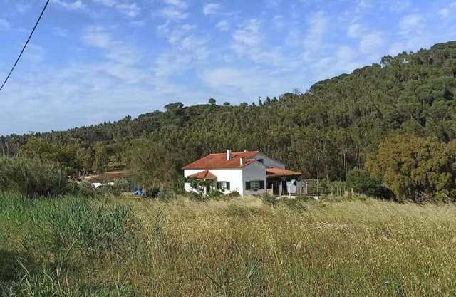 AL- Quinta dos Carvalhais