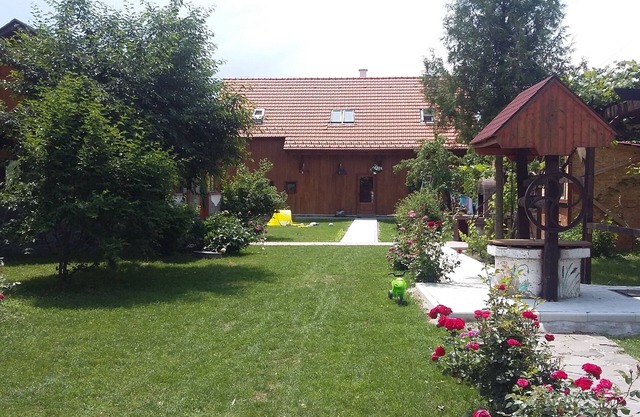 Albinuta guest house is designed for families with children, groups of friends.