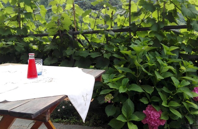 ALESSIA HOUSE IN THE GREEN WITH PARKING AND WIFI CITRA 010002-LT-0047