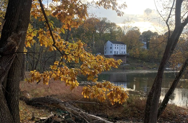 All the comforts of home