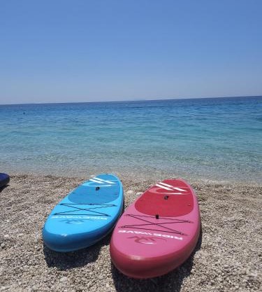 Aloha alb Paddle Boards