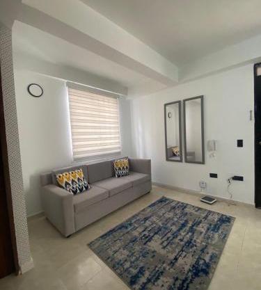 Alojamiento edificio Rosalba 207