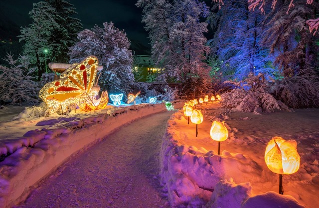 Alp Art Hotel