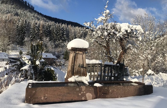 Alsace border (Donon, Lakes) gîte 8/10 pers + 2 BB 5 bdrms (poss 4 pers 2/3 bdrms)