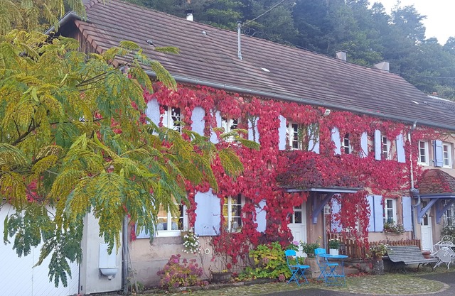 Alsace Cottage leaning against the hill overlooking the valley 15min from Haut-Kœnigsboug