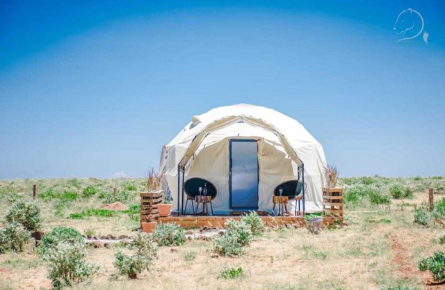 Amanya 1-Bed Leopard Tent