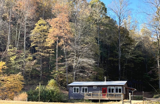 Amazing Getaway! Forest Setting Outside Nashville Near Loretta Lynn's