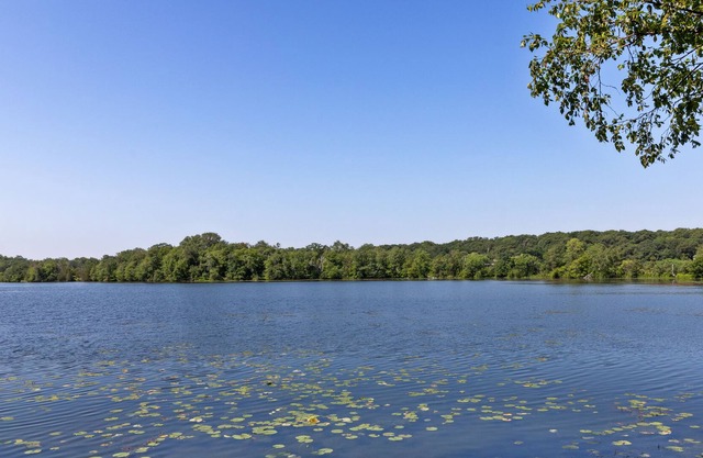 Amazing Lakefront Cabin Close to Downtown Mpls!