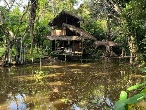 Amazon jungle cabin - satorinatural